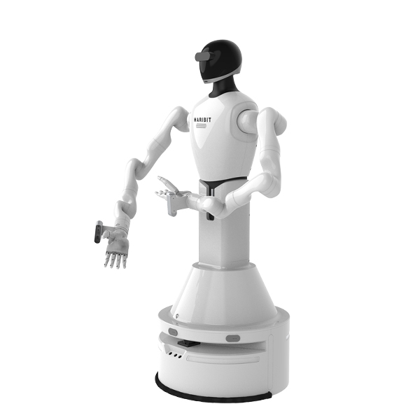 雙臂復(fù)合機(jī)器人